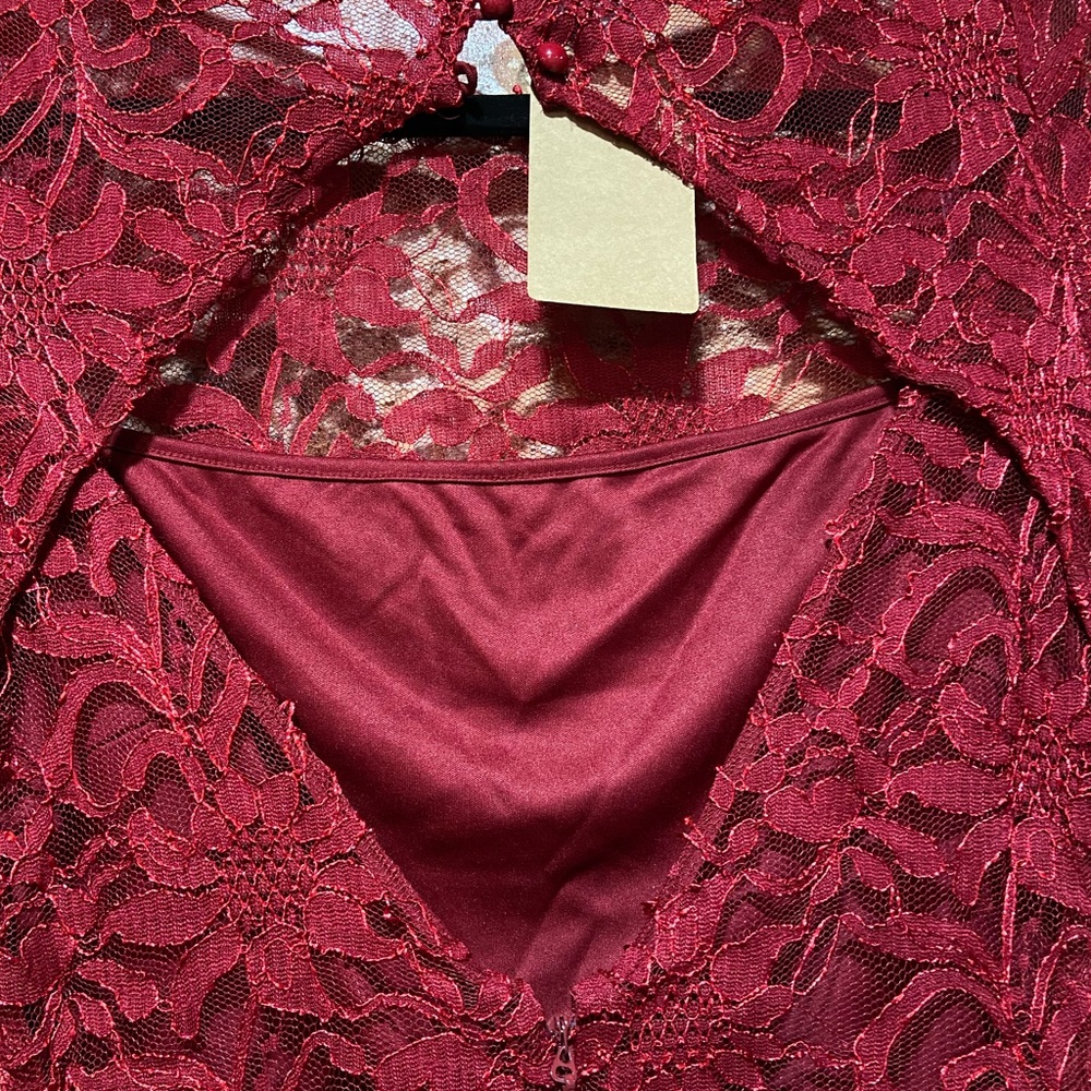 #134 Lace Fitted Dress View 4